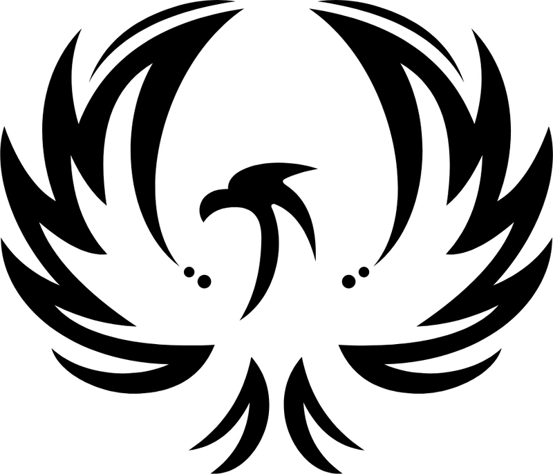 Phoenix Hair Products